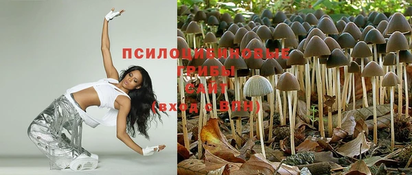круглые Богданович