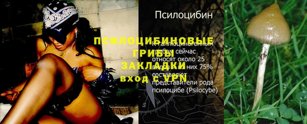 MDMA Premium VHQ Богородицк