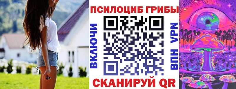 Псилоцибиновые грибы Cubensis  Купить  Новая Ляля 